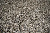 Washed Stone (1 1/2") thumbnail 3