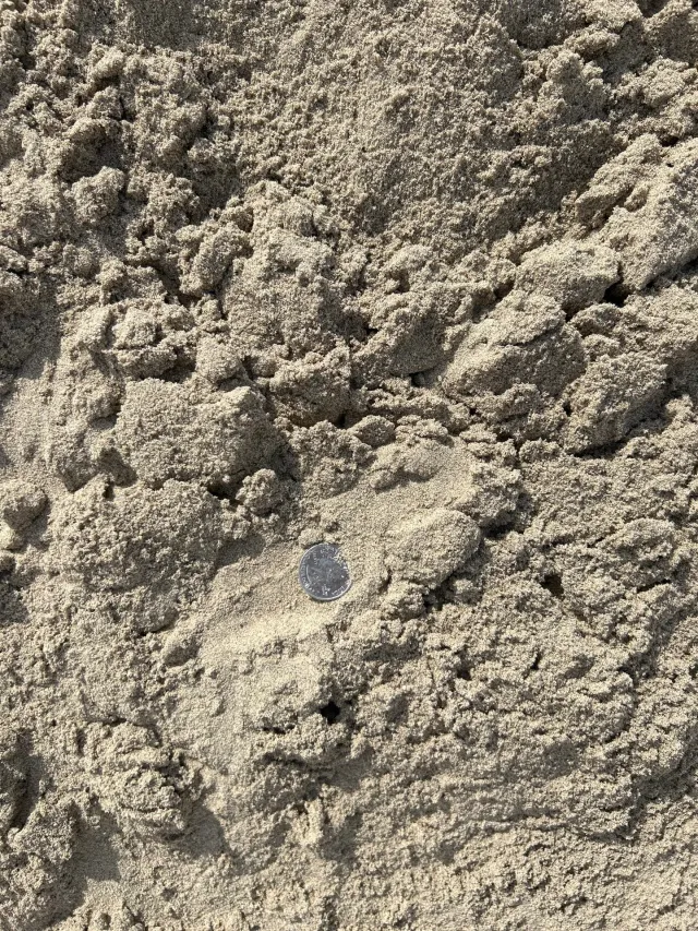 Mason Sand — photo 2