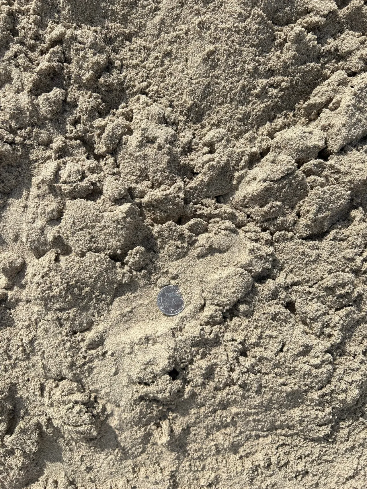 Mason Sand — image 2 of 6