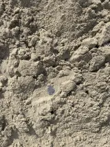 Mason Sand thumbnail 2
