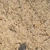Concrete Sand thumbnail 3