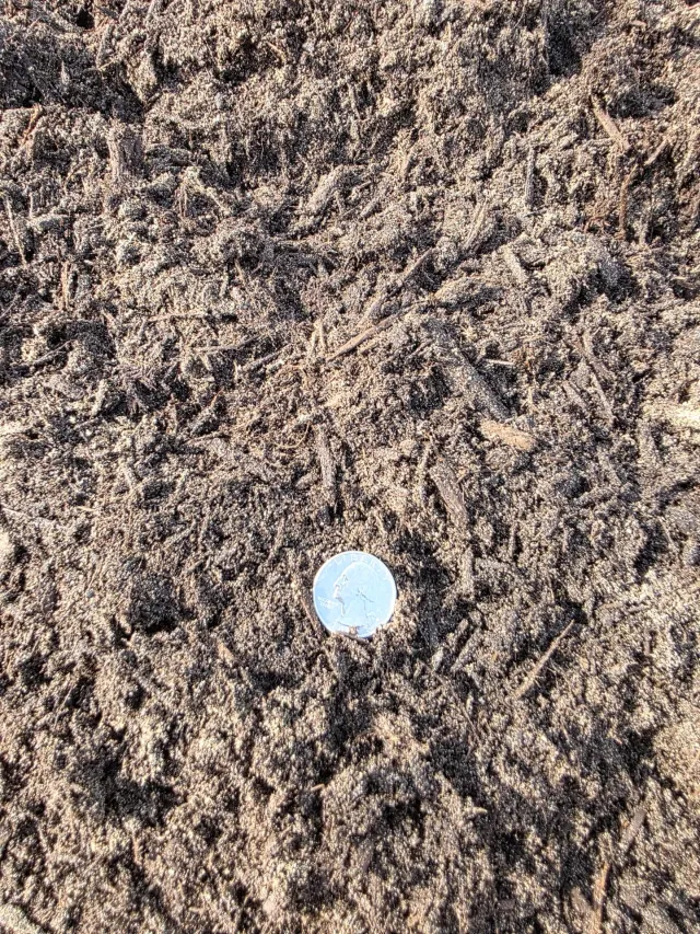 Garden Soil — photo 5