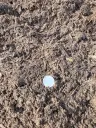 Garden Soil thumbnail 5