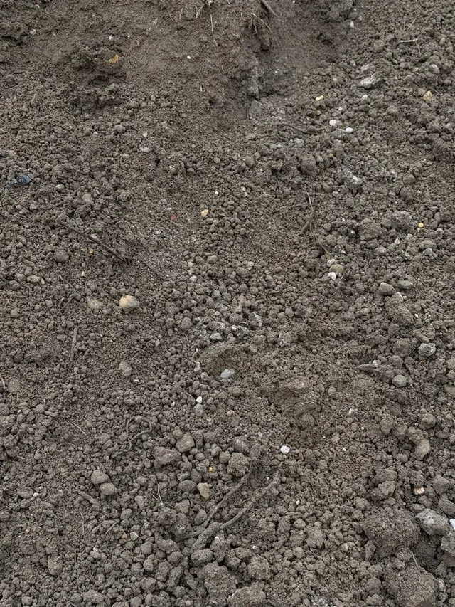 Top Soil Screened
