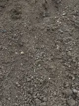 Top Soil Screened thumbnail 1