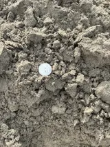 Fill Dirt thumbnail 2