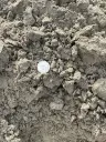 Fill Dirt thumbnail 2