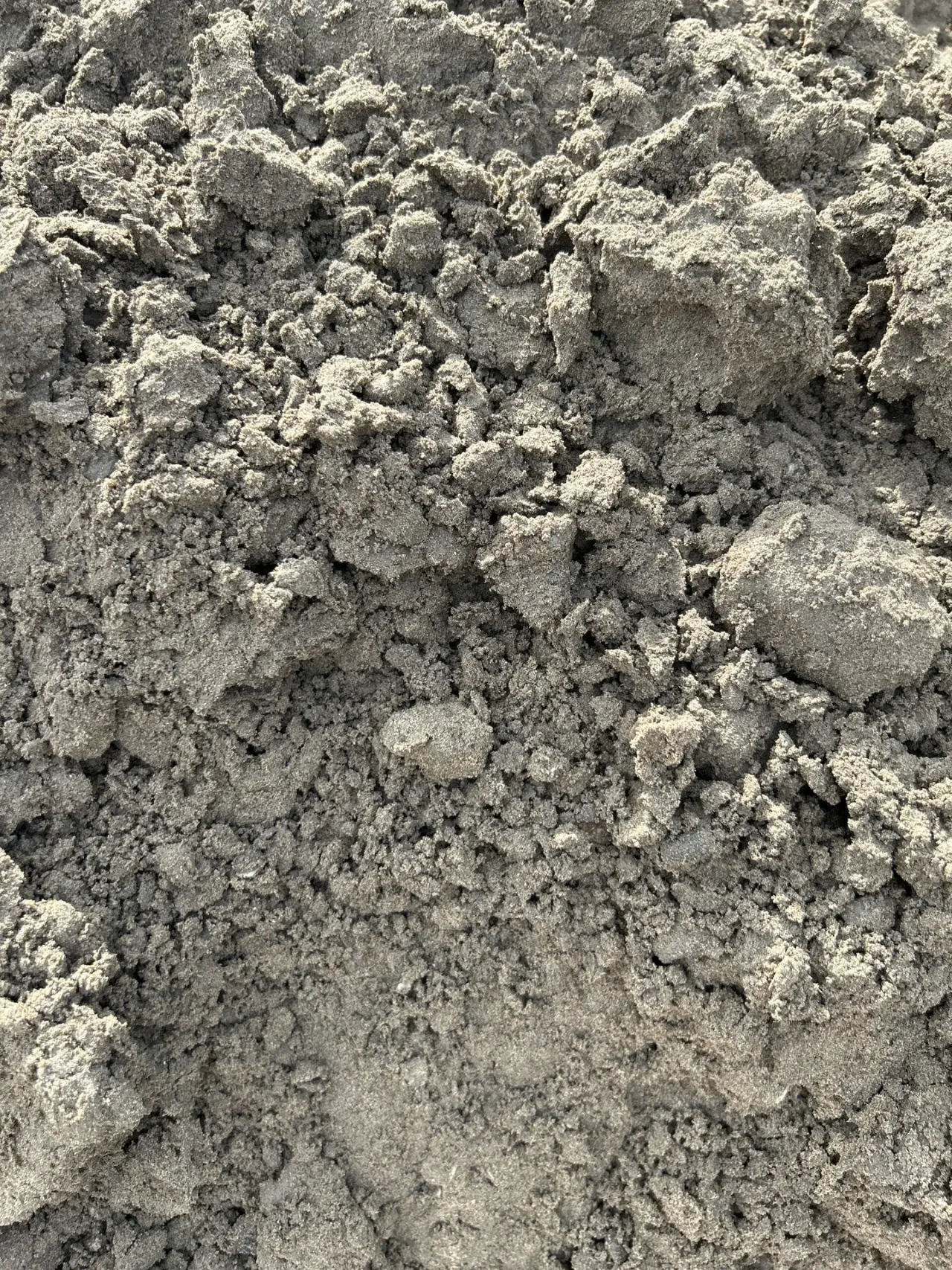 Fill Dirt — image 3 of 8