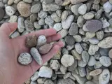 River Rock thumbnail 1
