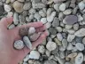 River Rock thumbnail 1