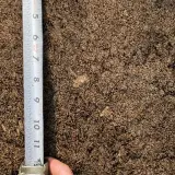 50/50 Blended Soil thumbnail 5