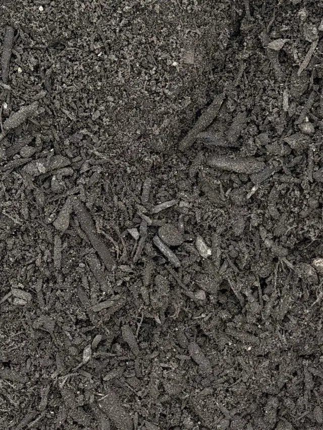 Lawn & Garden Soil