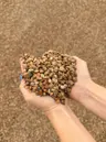 Pea Gravel 5/16" thumbnail 3