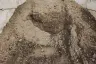Fill Dirt thumbnail 4