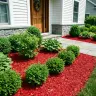 Shredded Red Mulch thumbnail 5