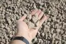 #57 Crushed Stone thumbnail 6