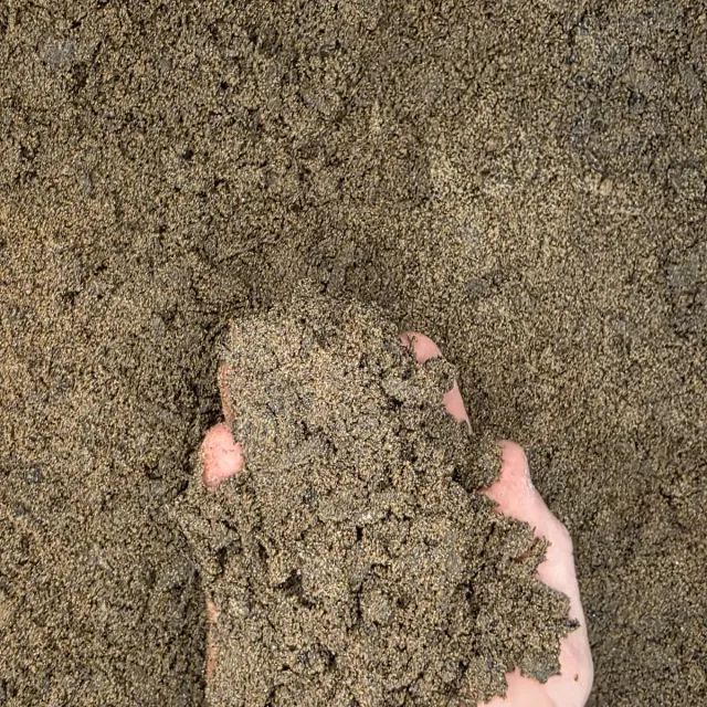 50/50 Blended Soil — photo 3