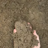 50/50 Blended Soil thumbnail 3