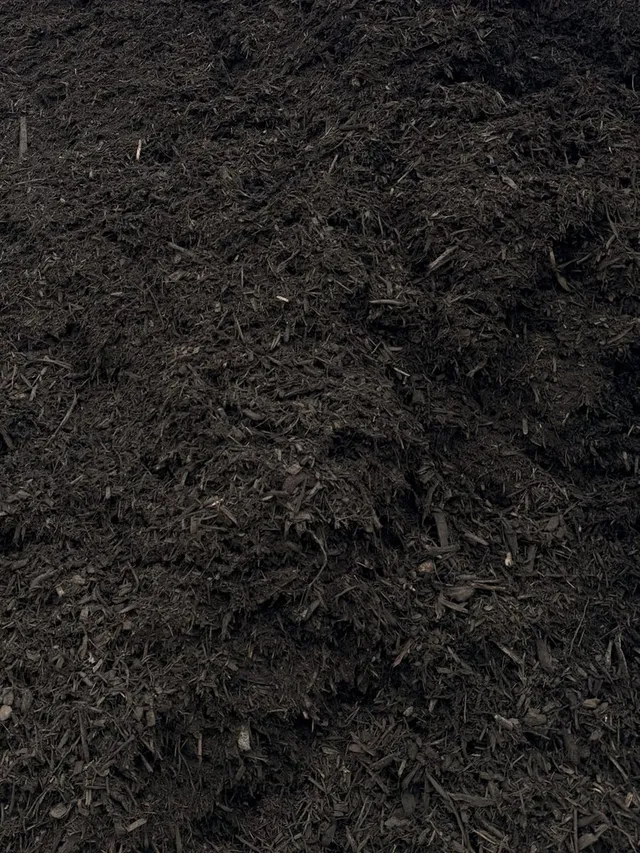 Black Anvil Mulch — photo 2