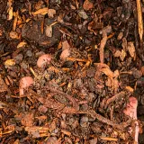 Pine Bark Mulch thumbnail 4