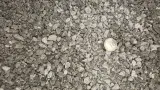 #89 Limestone 3/8" thumbnail 1