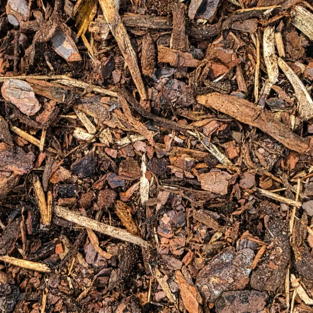 Playground Mulch