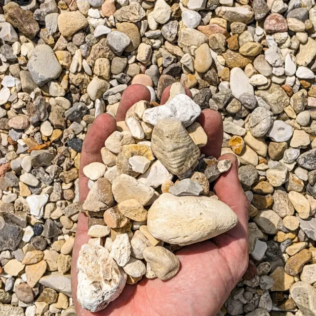 River Gravel — photo 4
