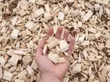 Wood Chips thumbnail 1