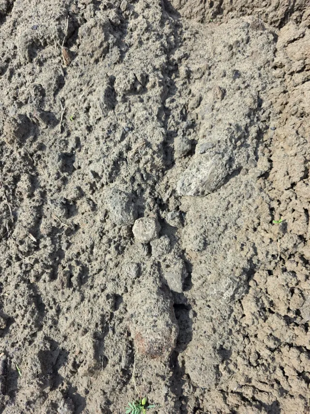 Fill Dirt — photo 2