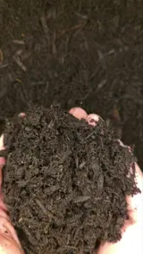 Compost Soil thumbnail 2