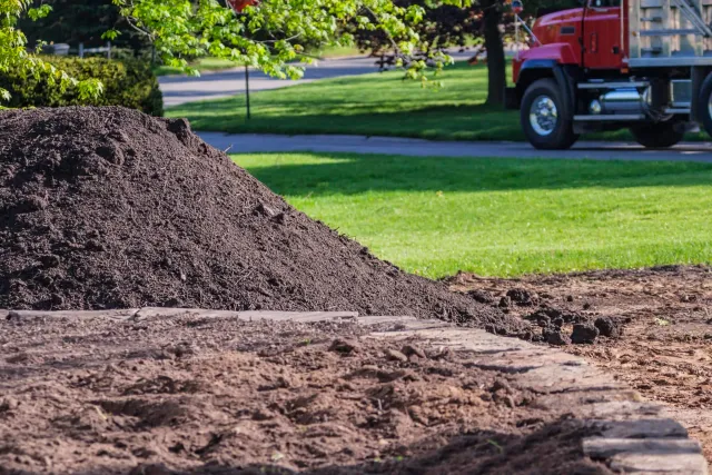 Topsoil — photo 3