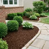Shredded Hardwood Mulch thumbnail 4