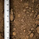 Fill Dirt thumbnail 5
