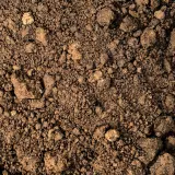 Fill Dirt thumbnail 1
