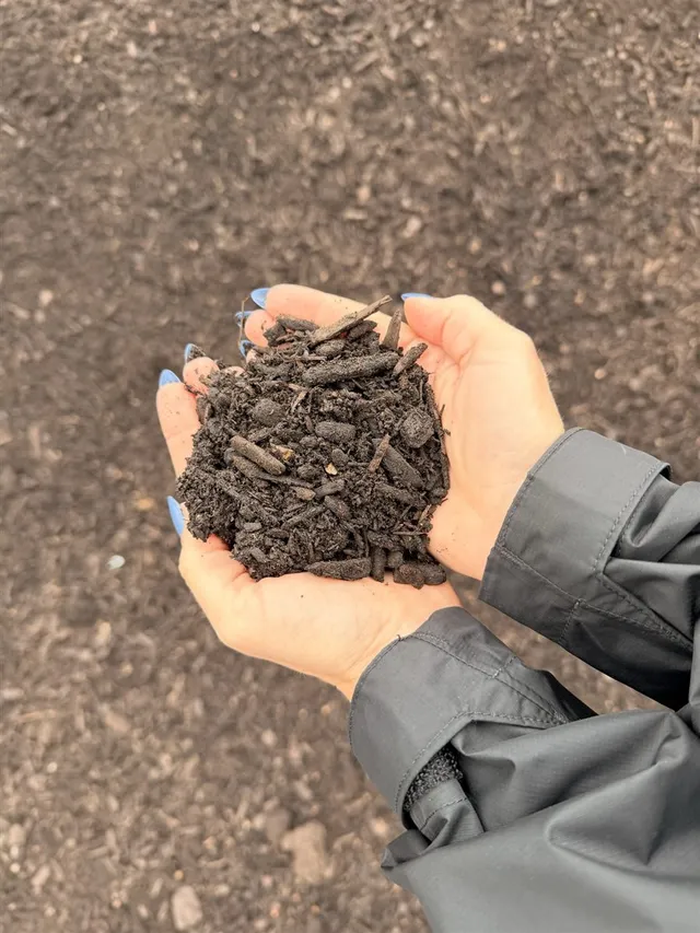 Bella Flora Potting Mix — photo 3