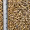 Golden Pea Gravel thumbnail 5