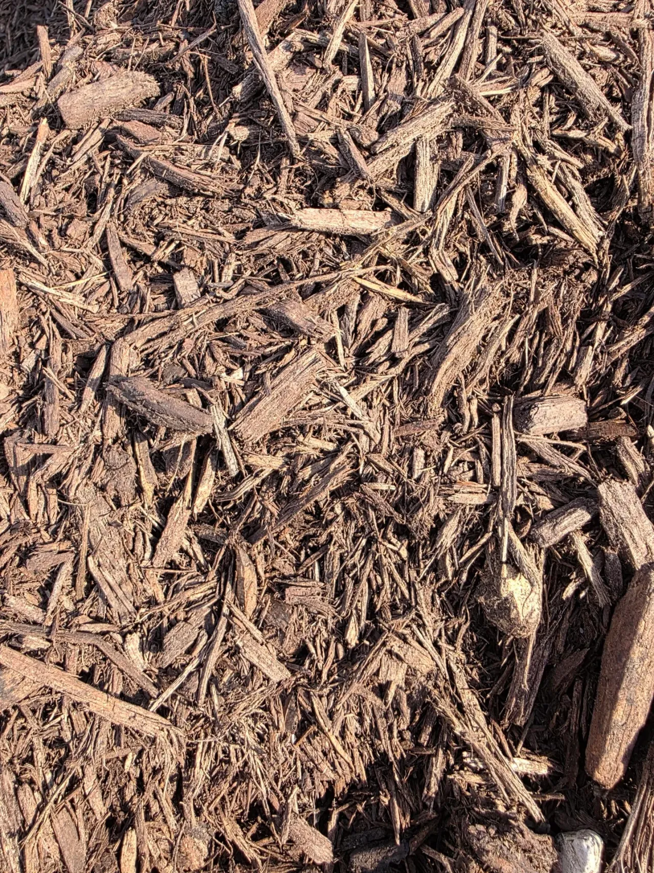 Shredded Hardwood Mulch — image 3 of 5