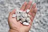 White Limestone (3/4") thumbnail 1