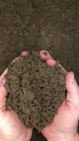 50/50 Blended Soil thumbnail 2
