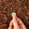 Chocolate Hardwood Mulch thumbnail 3