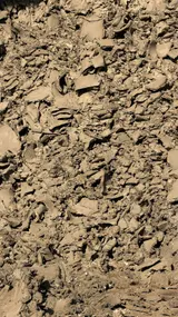 Pond Clay thumbnail 2