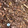 Playground Mulch thumbnail 3