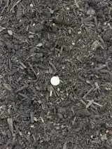 Potting Mix thumbnail 2