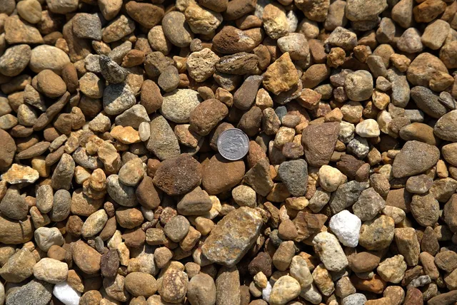 3/4" Gold Nugget — photo 3