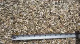 Pea Gravel thumbnail 5
