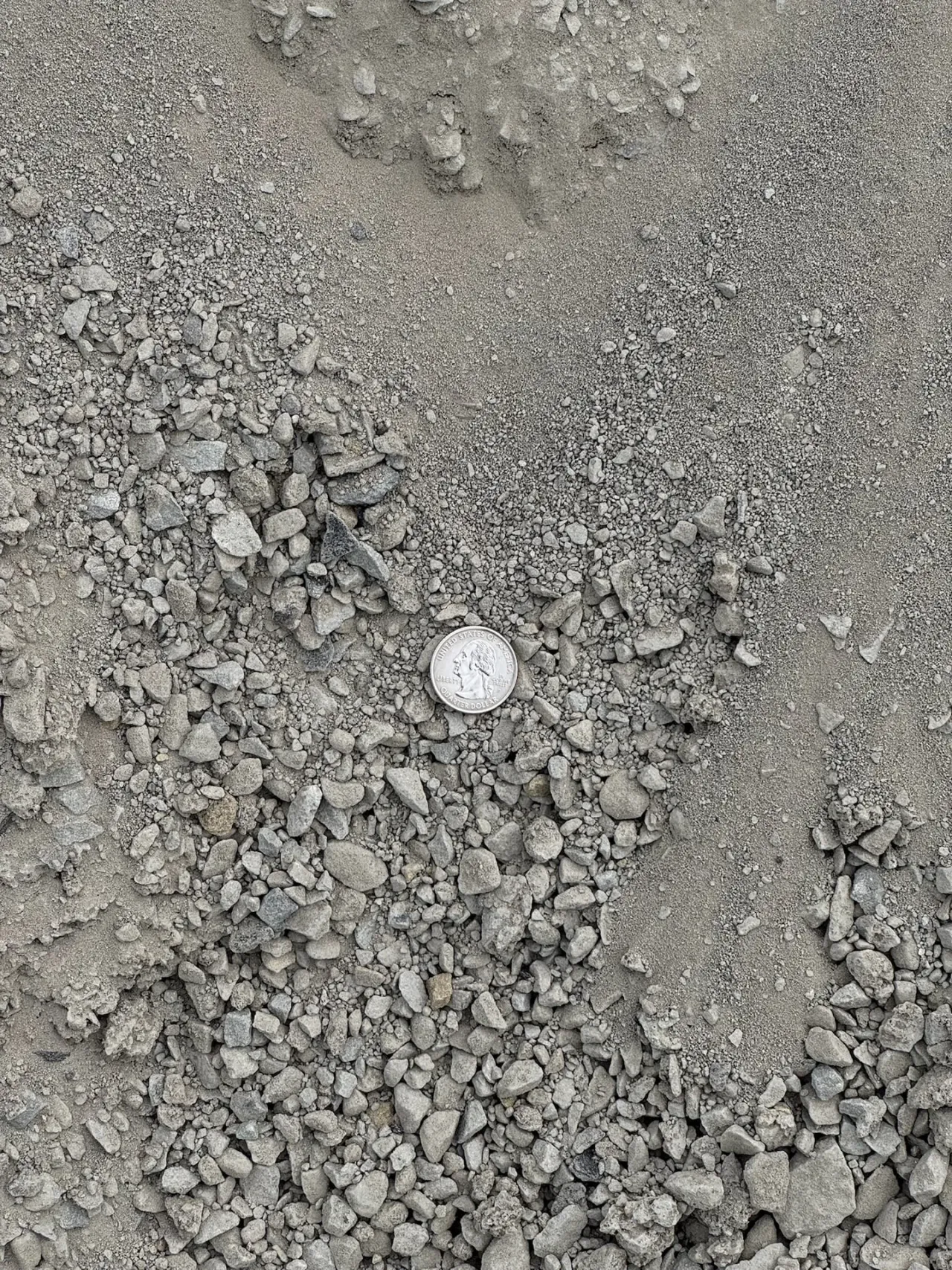 Stone Dust (Screenings) — image 2 of 5
