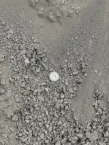 Stone Dust (Screenings) thumbnail 2