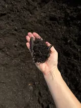 Shredded Black Mulch thumbnail 1
