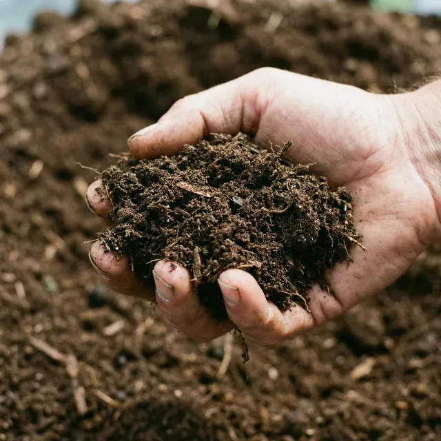 Topsoil