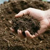 Topsoil thumbnail 1